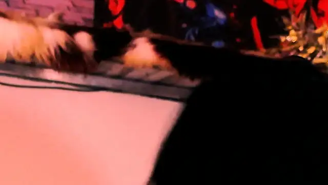 indian_dreamgirl élő XXX-chatje