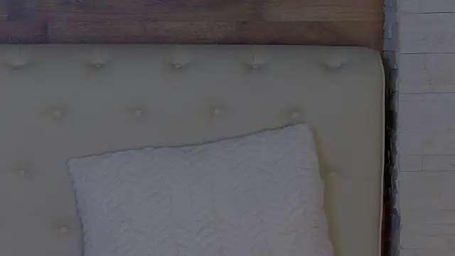 KendraNoir 即時 XXX 聊天