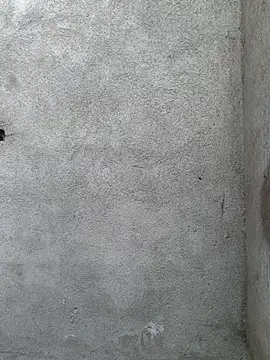 عرض كام kitty_113