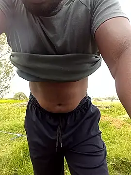 Show de dolphiinn na webcam