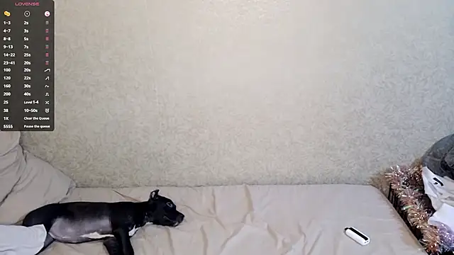 Chat XXX ao vivo de NoMoreCIothes