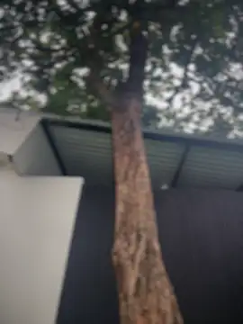 Namii_cute – Naživo XXX chat