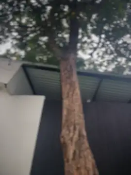 Namii_cuteのライブXXXチャット