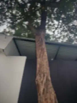 Namii_cuteのライブXXXチャット