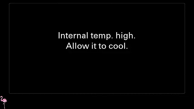 TenderSinのライブXXXチャット