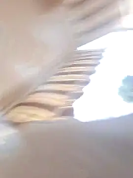 عرض كام Pilastrocaldo91