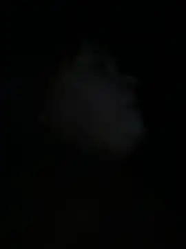 Chatroom XXX en direct de BigboobsDream99