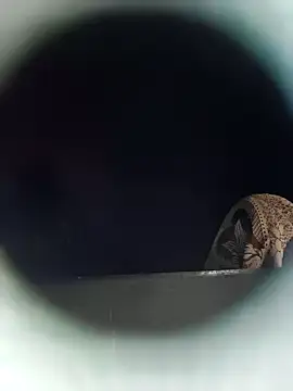 Ponam_sexy Webcamshow