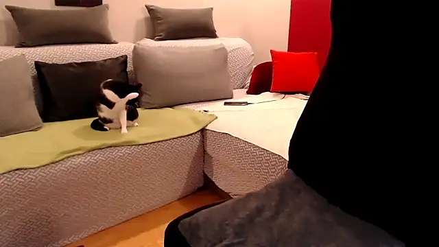 sempre-rompina 라이브 XXX 채팅