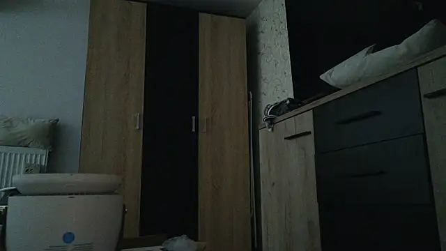 RyanStorm_ Webcam-Show