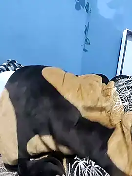 Koziekylie 现场XXX聊天