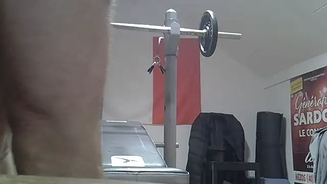 Roccobis 网络视讯表演