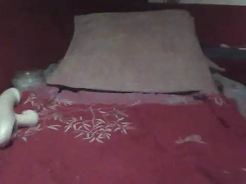 Show webcam de Stern-79