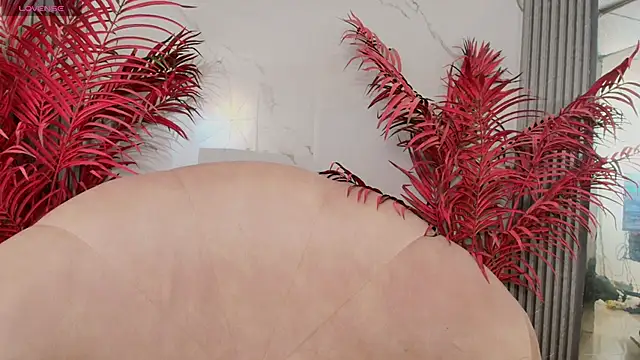 LaxiZoe 라이브 XXX 채팅