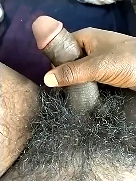 jellydicks 现场XXX聊天