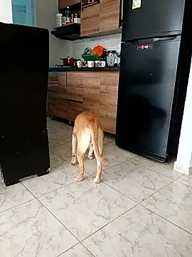 LEIRIS_Y_FRED_01のライブXXXチャット