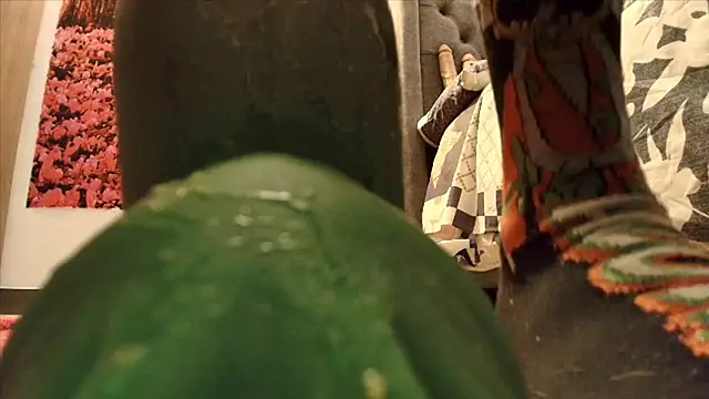 Czat XXX na żywo – sofia23dirty