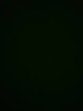 Show Webcam de Cee0330