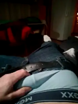 Pertunjukan Kamera Web kenzzzz