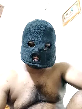 Show de Hiptonos na webcam