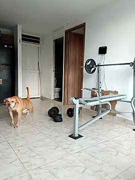 LEIRIS_Y_FRED_01's Live XXX Chat