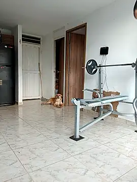 LEIRIS_Y_FRED_01's Live XXX Chat