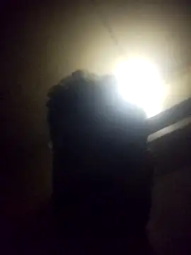 Pravin_paid_boy10 Live XXX Chat