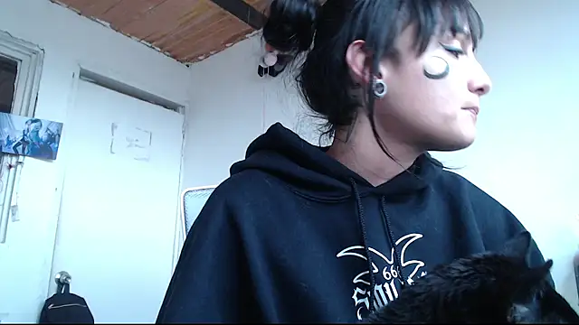 Show Webcam de Cortana2_0