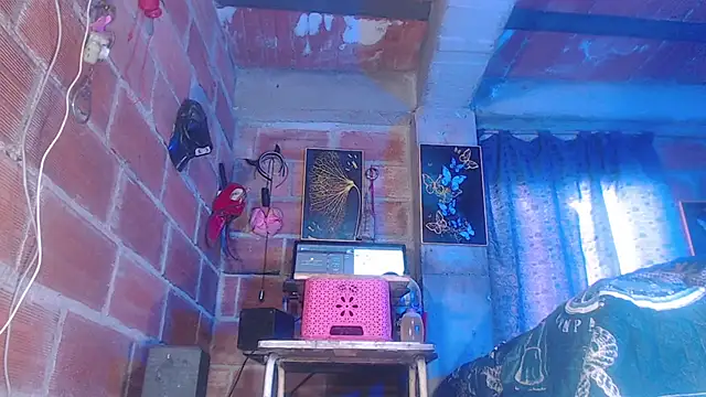 assbignatha: διαδικτυακό σόου στην κάμερα