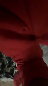 Show Webcam de willie896