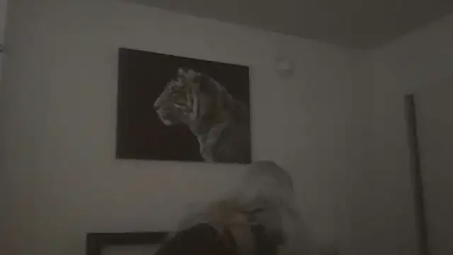 cryptokimgirl Live XXX-chat