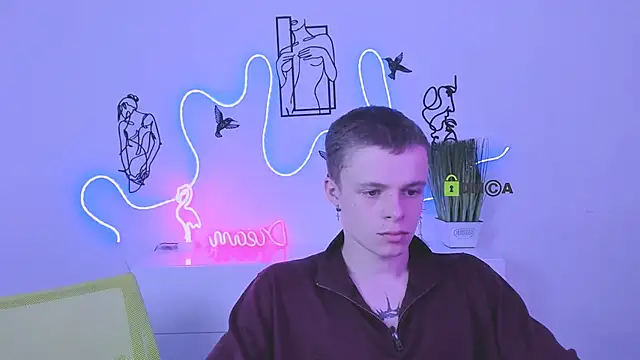 veldi_to Webcam-Show