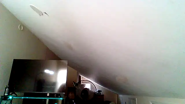 BossAfterDark Webcam-Show