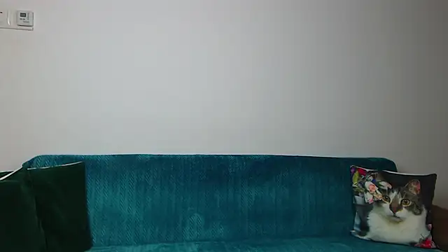 SaraDaisy Live XXX-chat