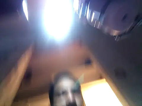 Chat XXX en directo de Dunkas69