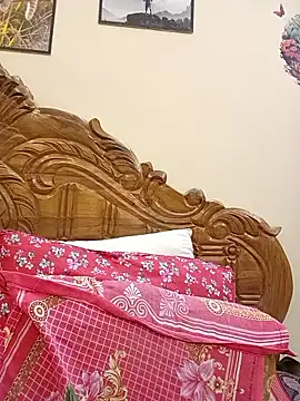 Softecho-03 Webcam Show