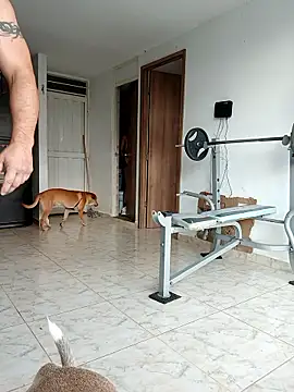 LEIRIS_Y_FRED_01's Live XXX Chat