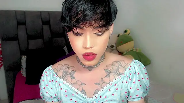 little_star_porn 웹캠 쇼