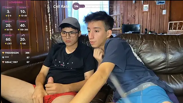 THESKYBOYS Webcam-Show