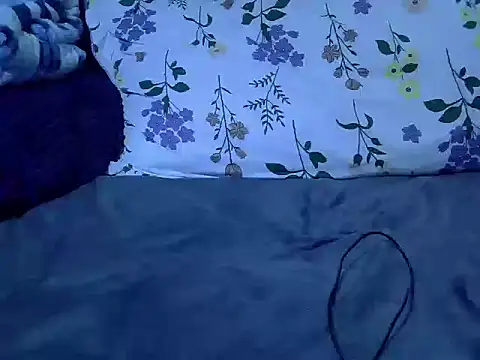 Lutyie élő XXX-chatje