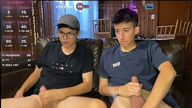 THESKYBOYS Show Webcam