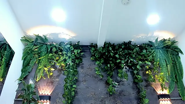 دردشة alice_greco الجنسية المباشرة