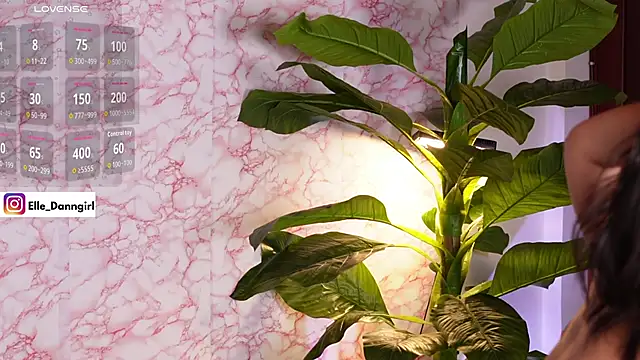 Soy_Daniela élő XXX-chatje