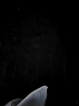 BohhhhrmのライブXXXチャット