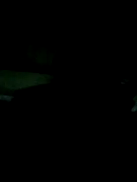 Diana-02 网络视讯表演