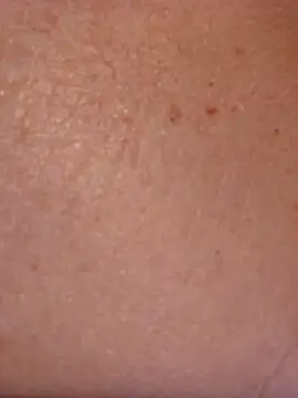 Skyellar Obrolan Langsung XXX