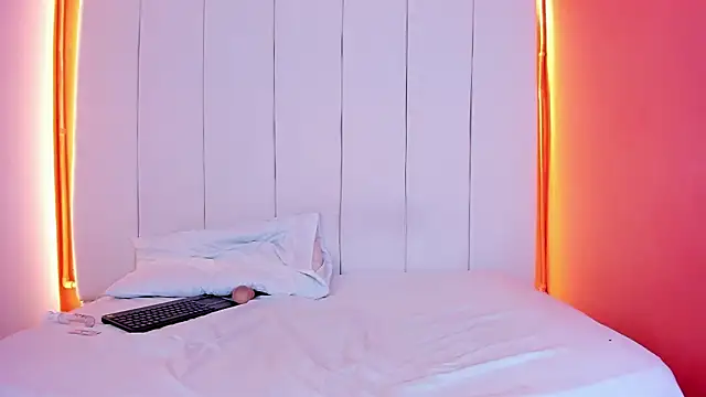 Sunny_OS webcam show