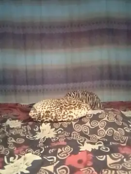 Živý XXX chat FUNNY_MARIAH1