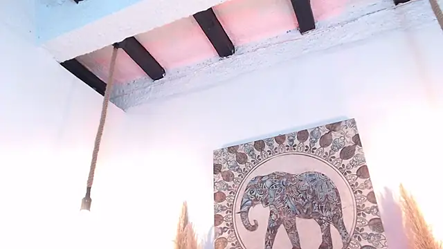 Doll4anall live XXX chat