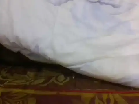 Czat XXX na żywo – samsodien24